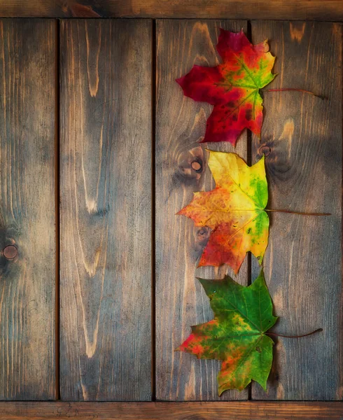 Tři Barevné Javorové Listy Dřevěném Pozadí Podzimní Pozadí — Stock fotografie