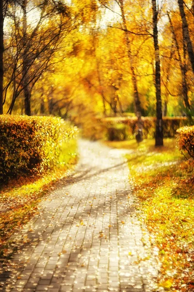 Strada Nel Parco Autunnale Paesaggio Autunnale Offuscato — Foto Stock