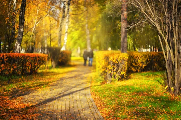 blurred silhouette of couple OUT OF FOCUS in autumn park Blurred autumn landscape