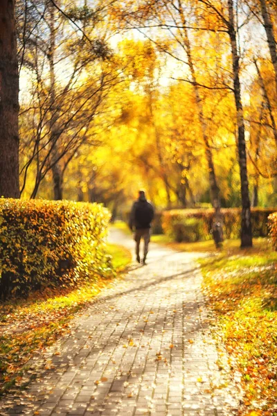 Bir sonbahar parkında FOCUS 'un dışındaki bir adamın silueti bulanık sonbahar manzarası