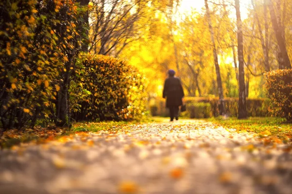 Bir Sonbahar Parkında Bulanık Bir Kadın Silueti Sonbahar Manzarasını Bulanıklaştırdı — Stok fotoğraf