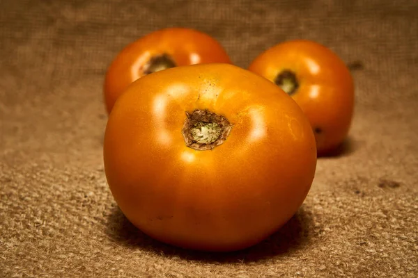 Gelbe Tomaten Auf Stoff Hintergrund — Stockfoto