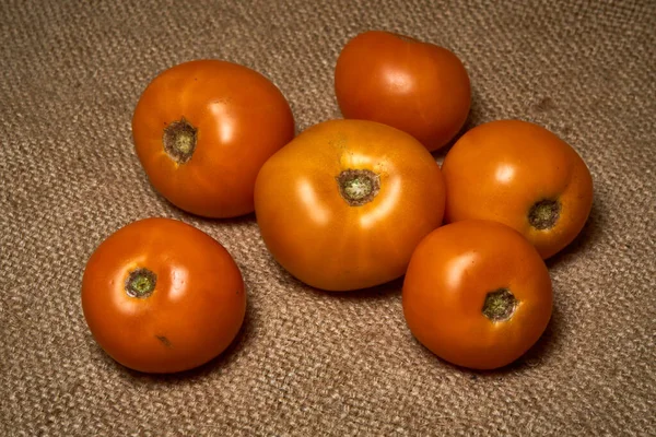 배경에 노란색 토마토 — 스톡 사진
