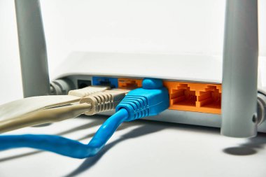 Yönlendiriciye bağlanılıyor, ağ kabloları yönlendiriciye bağlanıyor