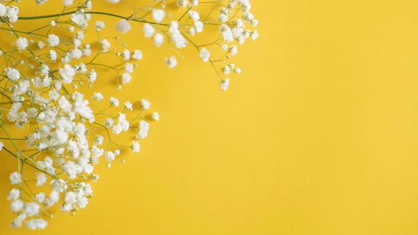 small dot flowers. white summer flower on yellow background with space for text. write you flower store message