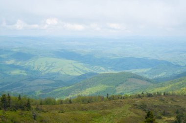 Ormandaki dağdan ve aşağıdaki köyden manzara. Ukrayna 'da yaz Karpatları. sınırsız boşluk