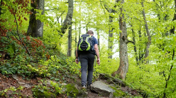 Homem caminhando na floresta. Floresta dos Cárpatos Verdes. Pessoa no meio das árvores. fim de semana saudável na floresta — Fotografia de Stock