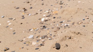 Sarı kumlu bir plaja dağılmış büyük düz taşlar. Kum tepeciği dokusu. Kumsaldaki renkli küçük kayalar