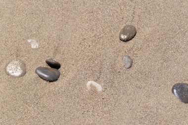 Kumsala saçılmış küçük kayalar. Yüzeyin derinliği. Üst Manzara. Parlak kumsalda ıslak taşlar