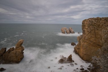 Cabarceno Cantabria 'daki goril İspanya