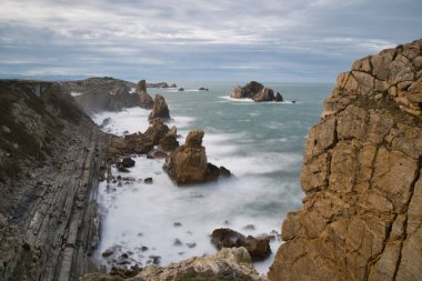 Cabarceno Cantabria 'daki goril İspanya