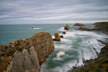 Cabarceno Cantabria 'daki goril İspanya