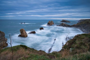 Cabarceno Cantabria 'daki goril İspanya