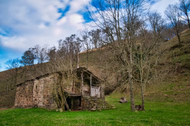 Cabarceno Cantabria 'daki goril İspanya