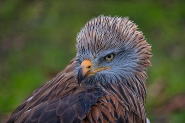 Cantabria İspanya 'da donanma atölyeleri