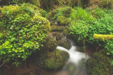 Caballar Dağındaki Nehir
