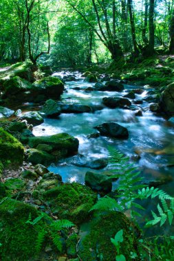  İspanya 'da Şelaleler