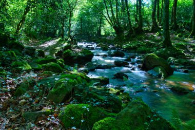  İspanya 'da Şelaleler