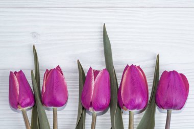 Bahar çiçekleriyle dolu bir arka plan ve mesajlaşma yeri. Arka planda pembe laleler.