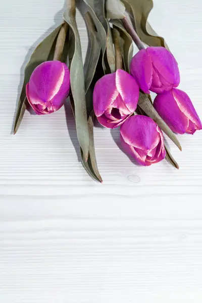 Fondo Con Flores Primavera Lugar Para Texto Tulipanes Rosados Fondo — Foto de Stock