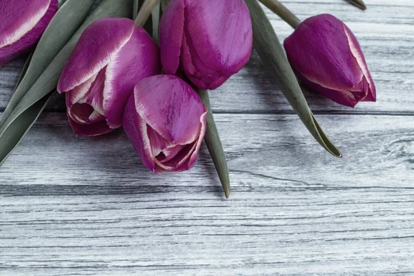 Фон Весенними Цветами Место Текста Розовые Тюльпаны Фоне — стоковое фото