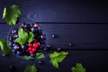 Yapraklı frenk üzümü. Frenk üzümü ve yeşil yapraklı arka plan. Frenk üzümü. Yakın plan.