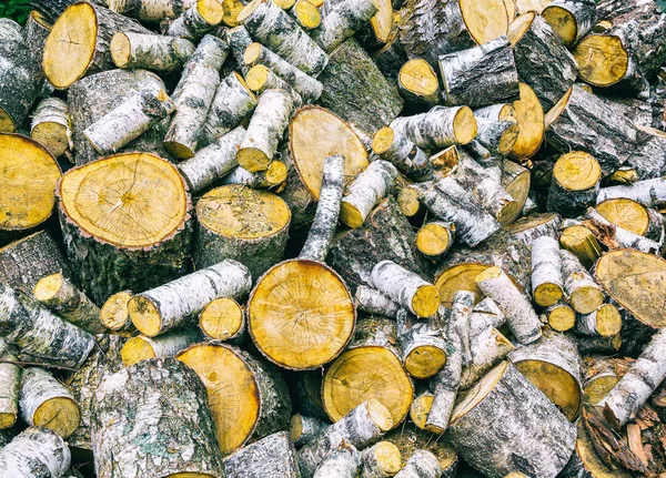 closeup of a bunch of birch firewood harvested for the winter. The firewood is packed and prepared for the winter. wood backgroun