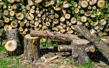 yığılmış yakacak odun yığını Close-up kış için toplanan. Odunları Paketli ve kışa hazır. ahşap arka plan