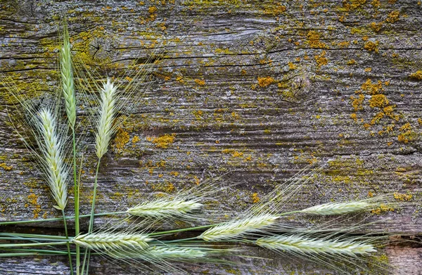 Oreilles Blé Sur Une Vieille Surface Bois Fond Rustique Espace — Photo