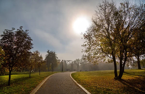 Parkta altın sonbahar