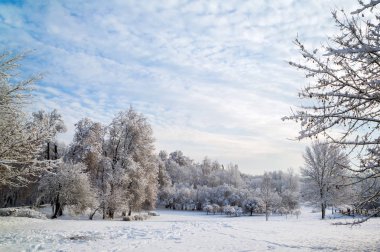 Güzel kış manzarası