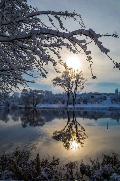 Χειμερινό τοπίο με δέντρα — Φωτογραφία Αρχείου