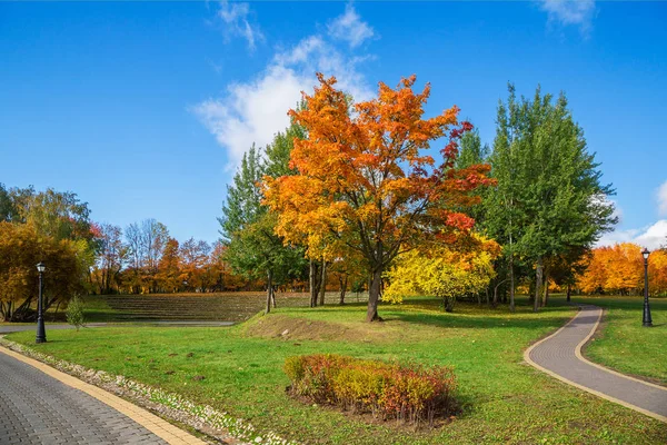 Осенний парк с красивыми желтыми листьями — стоковое фото