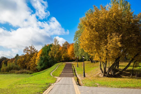 Jesienny Krajobraz Drzew Pięknymi Żółtymi Liśćmi Tle Błękitnego Nieba Parku — Zdjęcie stockowe