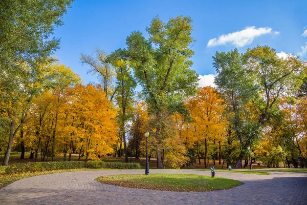 Cidade Paisagem Outono Árvores Com Belas Folhas Amarelas City Park — Fotografia de Stock