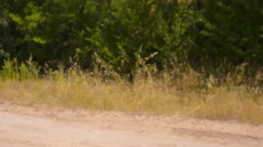 Madrid - İspanya 07 / 01 / 2020 off-road ve hareket eden karavan seti kameranın önünden geçiyor