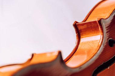 Kemerler. Keman parçaları. Kenarın şekilleri beyaz mermer arka planda ilk olarak. Seçici odak.