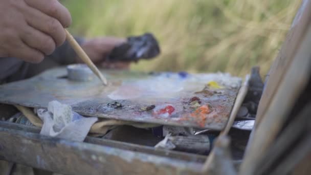 El artista mezcla pinturas aceitosas en una paleta, pinta un cuadro en la naturaleza — Vídeo de stock