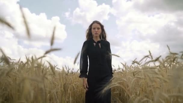 Μια όμορφη γυναίκα με σκούρα καστανά μαλλιά σε ένα μαύρο φόρεμα περπατά μέσα από ένα χωράφι με σιτάρι, ένα καλοκαιρινό τοπίο — Αρχείο Βίντεο