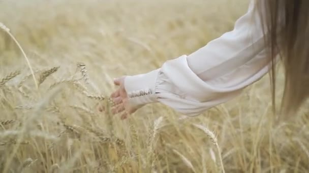 Девушка в белой блузке бежит рукой по шипам — стоковое видео