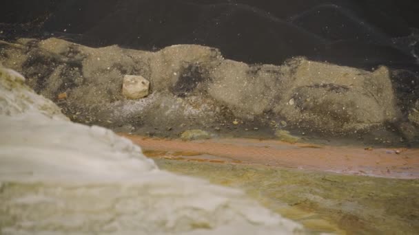 강의 오염, 생태계의 재난, 구리 폐기물, 화성의 물 — 비디오