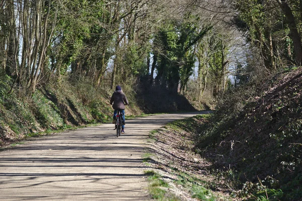 solitary walk by bike in nature