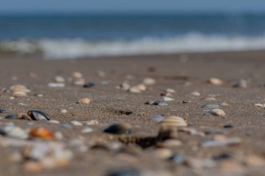 Deniz ve kumla güzel bir sahil.