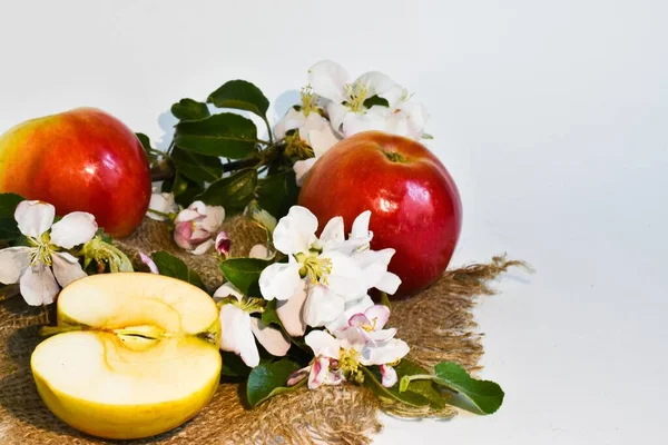Apples and an apple sliced in half on a napkin with apple tree flowers on a white background. Place for text.