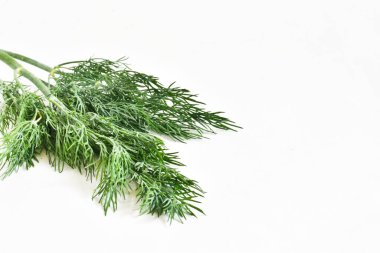 Dill beyaz arkaplanda izole edildi.