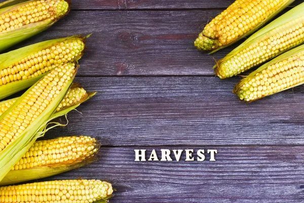 Fresh Corn Inscription Harvest Wooden Letters Wooden Background Space Text — Stock Photo, Image