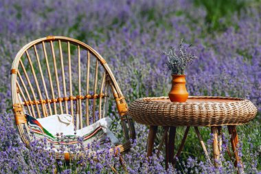 Lavanta tarlasında hasır mobilyalar, 