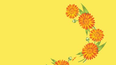 Ayçiçeği dekoru koleksiyonunu goncayla çiz ve sarı ekran arkaplanındaki yeşil yaprakla birleş