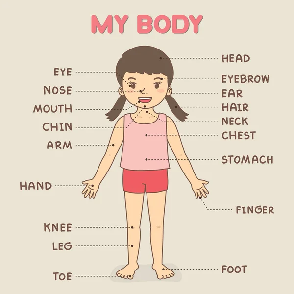 Kız vücudu, çocuklar için öğrenme posteri