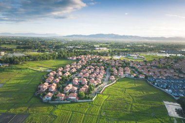Tayland 'ın Chiang Mai bölgesindeki pirinç tarlası ve konut manzarası.